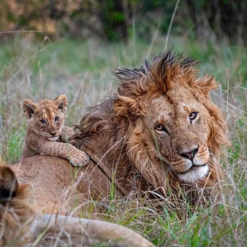 tumblr_e13f9ab6ec333b49c70306a02fc3e10a_e770e052_540