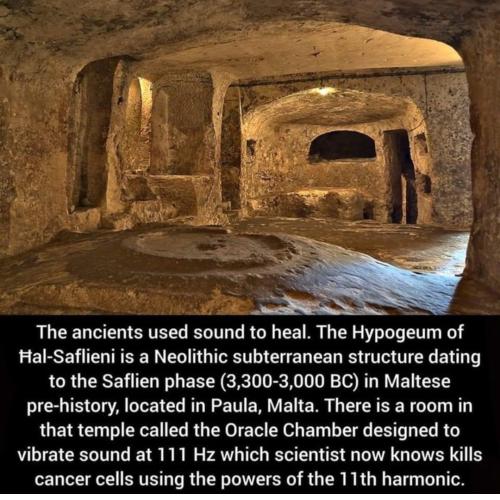 Screenshot_2022-11-11-00-32-00-31_1c337646f29875672b5a61192b9010f9