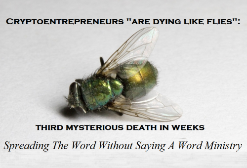 315110984_1341513306590799_3439636224508447834_n