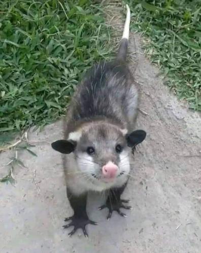 FB_IMG_1667951329285