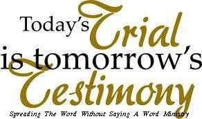 313831449_1477717562639917_6201031026665964868_n