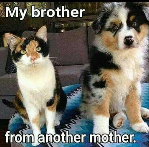 19b11b40-cbf3-4ab0-9e64-a33d89556ee5