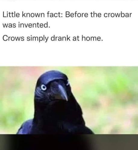 315190672_540884484520594_6488201769558616776_n