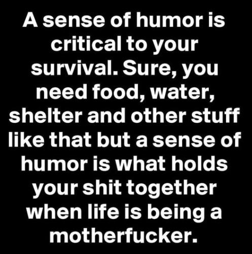 315881580_503264975176291_3122824547369947920_n