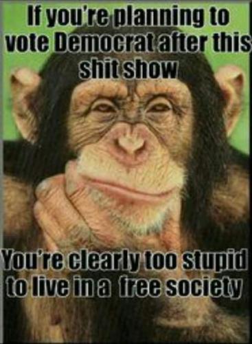 FB_IMG_1668090350241