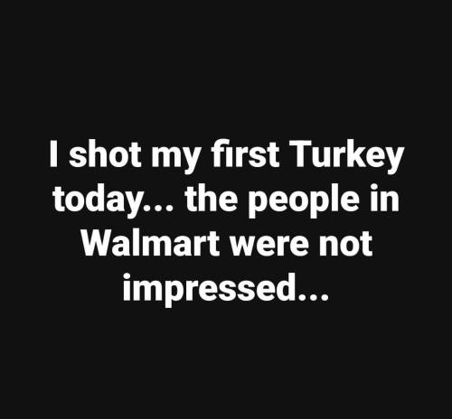 FB_IMG_1668538250399