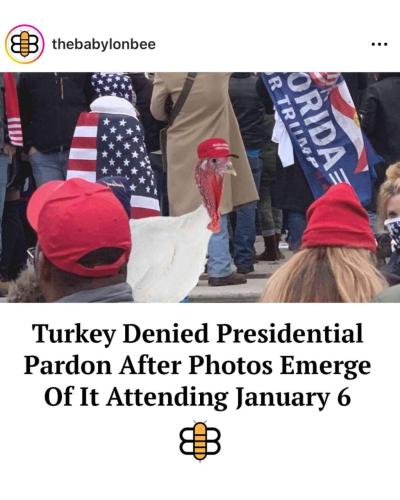 FB_IMG_1669164041970