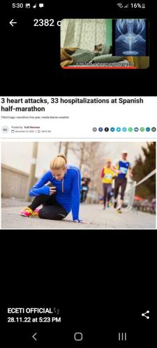 Screenshot_20221128-173002_Telegram