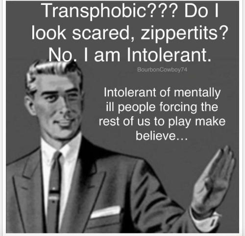 xephula_e8035b0e14e3d6a869a17002fc5ff52d