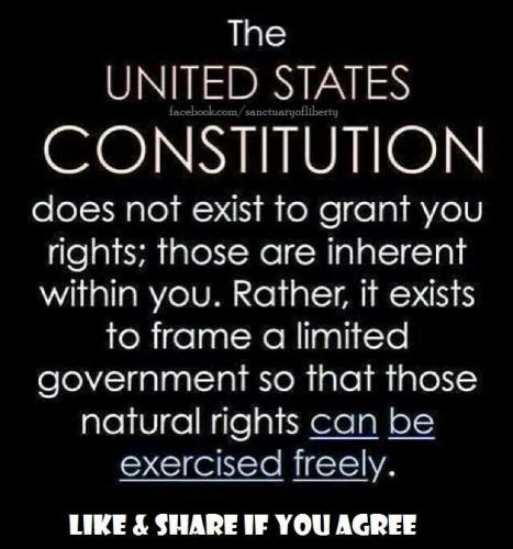 Constitution 1