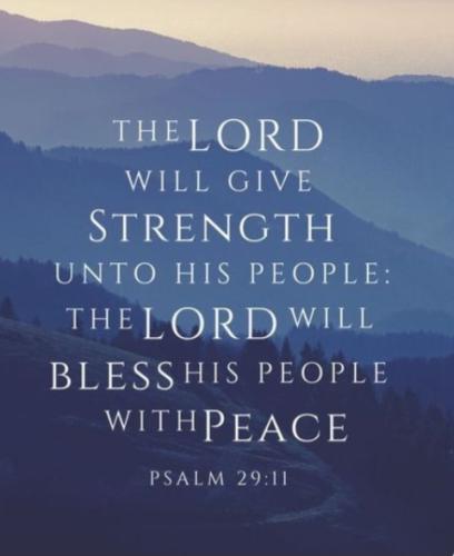 Screenshot_20221102_081117_Pinterest