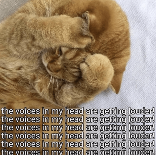 14:05:23 GMT-0500 (Eastern Standard Time).image