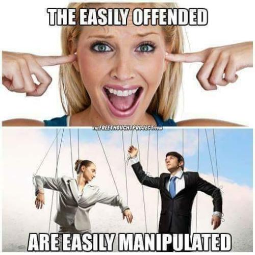 FB_IMG_1668808508459