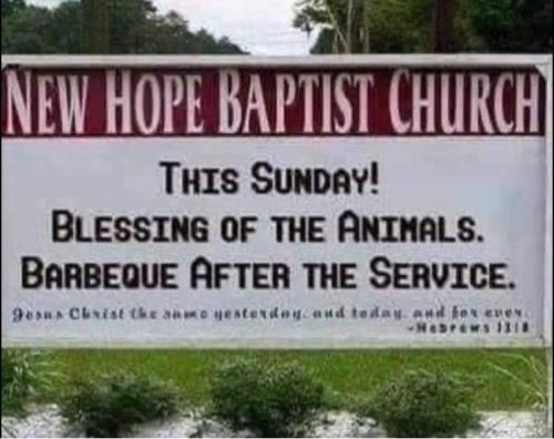 311736462_3802468636646025_2526337226866384628_n