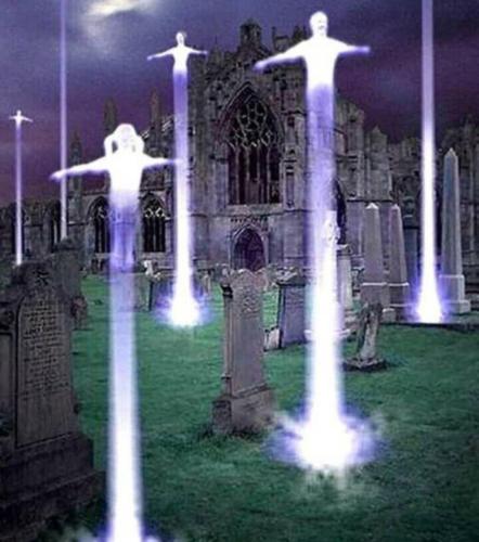 Screenshot_20221117_053338_MeWe