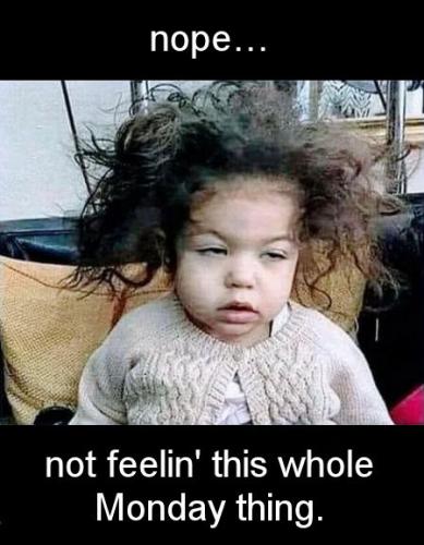 if monday morning had a face04