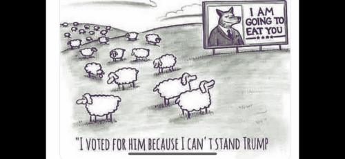 29F42C6C-A3B4-412F-912E-3BE1FAEA4344