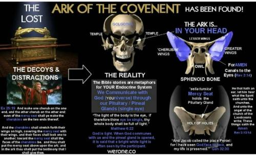 Screenshot_2022-11-26-08-47-49-03_1c337646f29875672b5a61192b9010f9