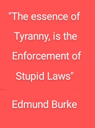 photo_2022-11-27_00-28-46