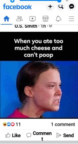 FB_IMG_1668794144636