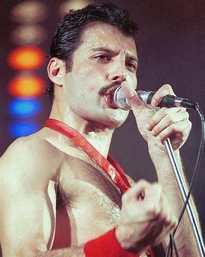 315353214_669621201365408_4956031973506940219_n