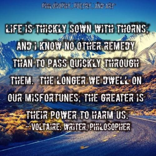 313429129_5835279399872827_7491638007224820990_n