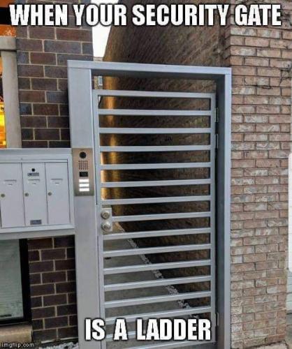 FB_IMG_1669744161637