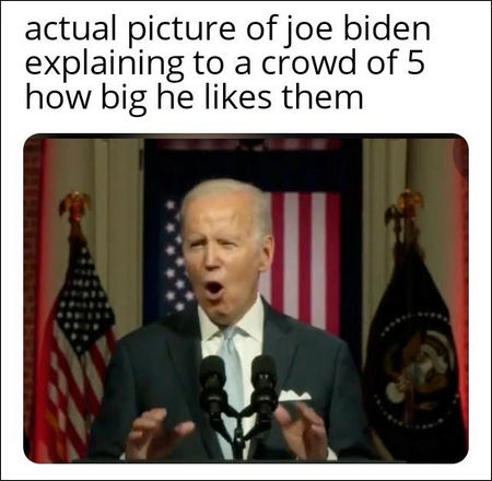 biden1096
