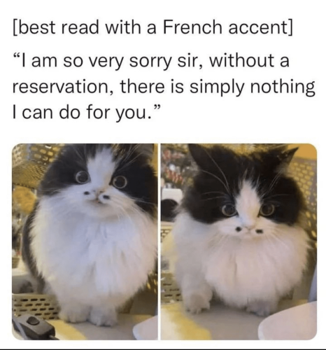 13:46:19 GMT-0400 (Eastern Daylight Time).image