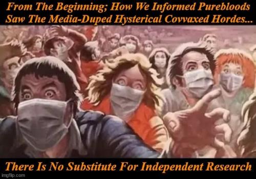 b87f5e8c-c30c-4870-bdb4-9e7940bc8488