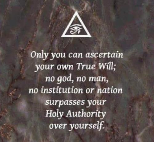 Screenshot_2022-11-11-00-28-24-77_1c337646f29875672b5a61192b9010f9