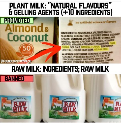 Screenshot_2022-11-13-05-37-05-78_1c337646f29875672b5a61192b9010f9