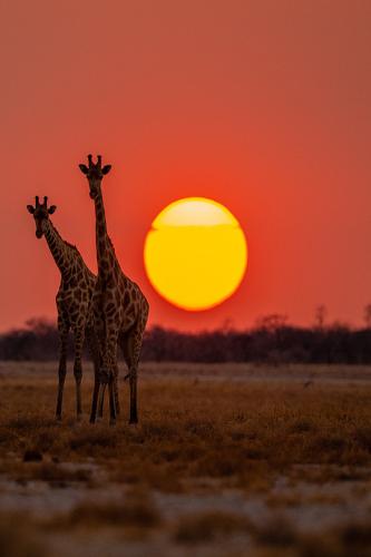 tumblr_1a0b71f67f755f42200e43b5b102b485_da431235_540