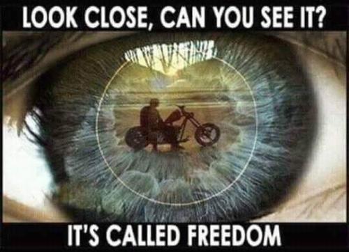 FB_IMG_1667572380837