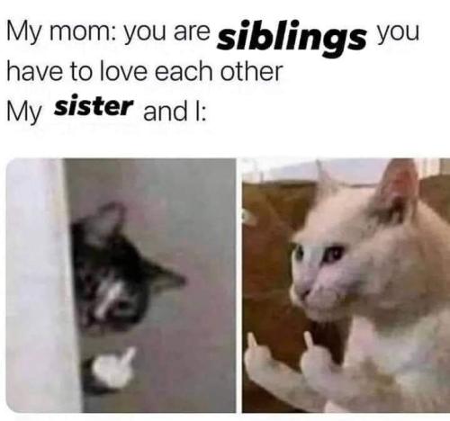 FB_IMG_1667781031497
