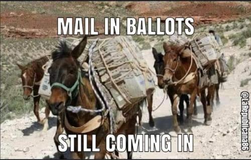 FB_IMG_1668647868111