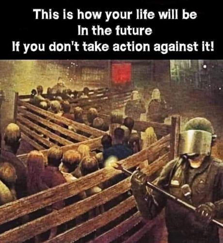 FB_IMG_1615879960999