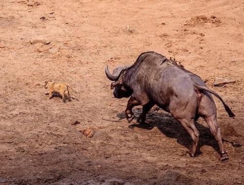 tumblr_c88ec5d45e780e32b9d7eb2cc28d5dc9_0b65934b_640