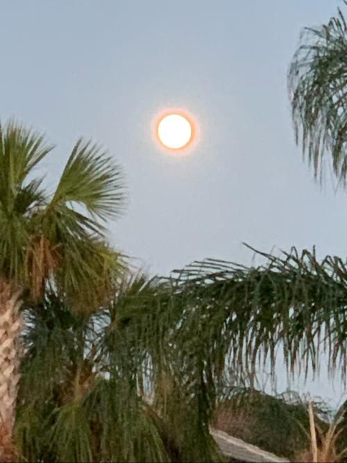 E243FDA4-7242-457A-92FD-09FF1C778896