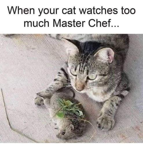 FB_IMG_1669575475566