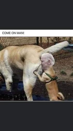 FB_IMG_1667570875302