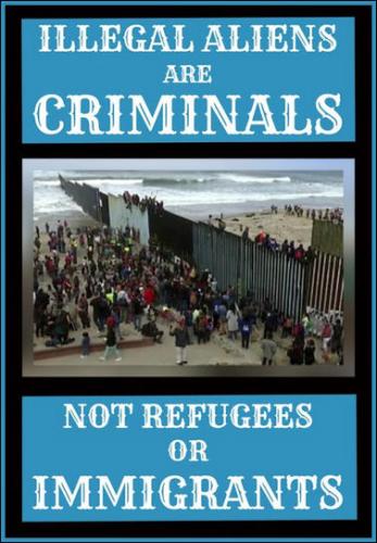illegal immigration299