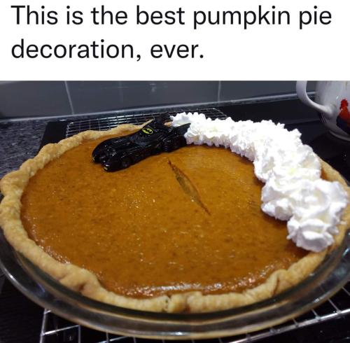 FB_IMG_1669267827110