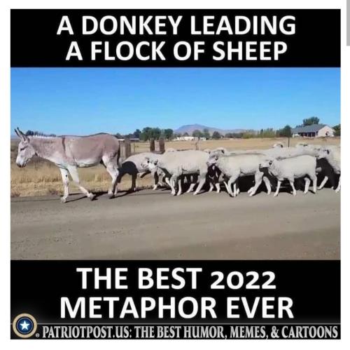 Screenshot_20221114-144955_Outlook