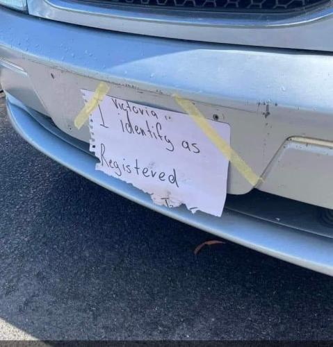 FB_IMG_1669090705592