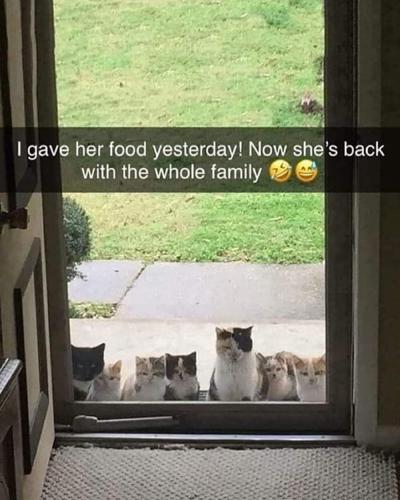 FB_IMG_1669073930066