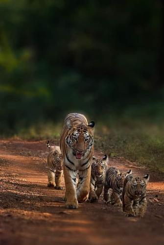 314613243_8590241294327069_7596131704878245514_n