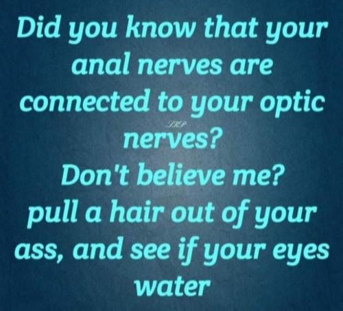 IMG_20221110_203230_174