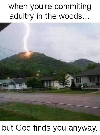 when youre commiting adultry in the woods