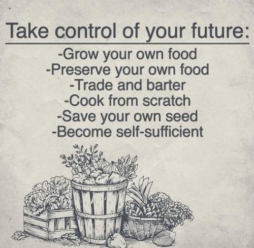 121121662_10157966977992602_1119961408437197442_n